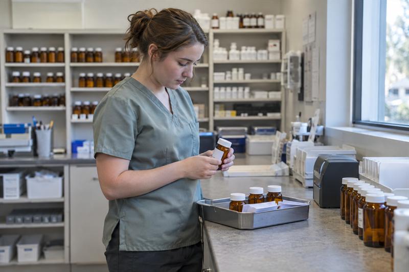 Pharmacy Technician Training in Georgia: Role Overview and Skill Foundations